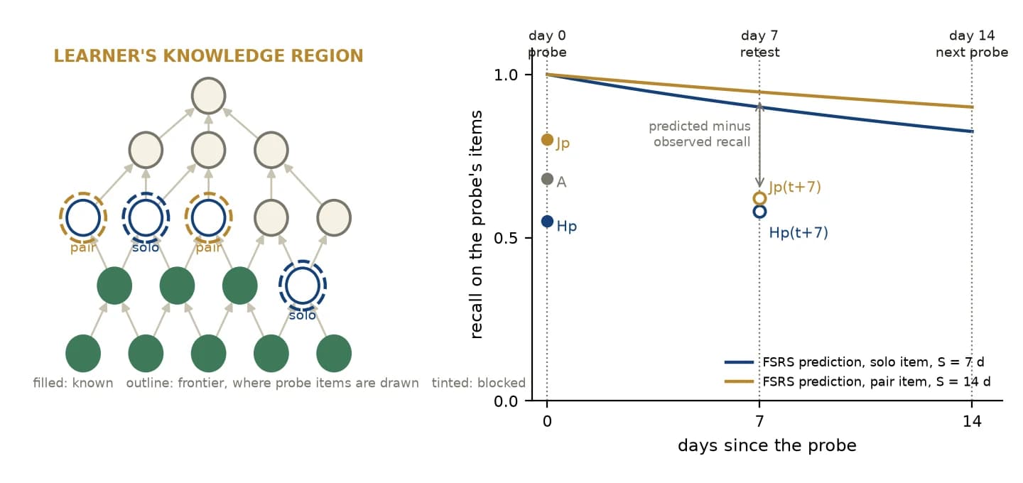 A layered catalog with known, frontier and blocked concepts and four probe items at the frontier, beside a one-probe timeline with FSRS predicted recall